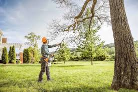 Best Hedge Trimming  in Sullivan, IL